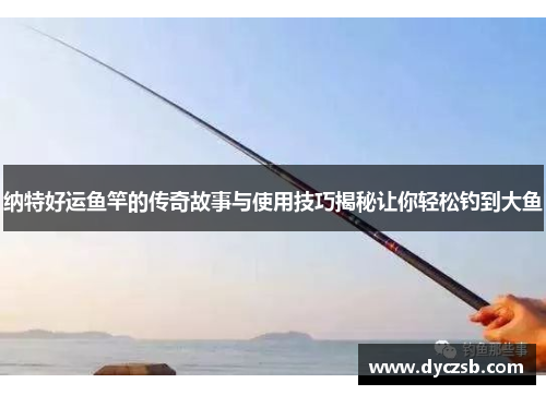 纳特好运鱼竿的传奇故事与使用技巧揭秘让你轻松钓到大鱼