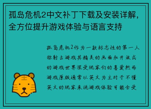 孤岛危机2中文补丁下载及安装详解，全方位提升游戏体验与语言支持